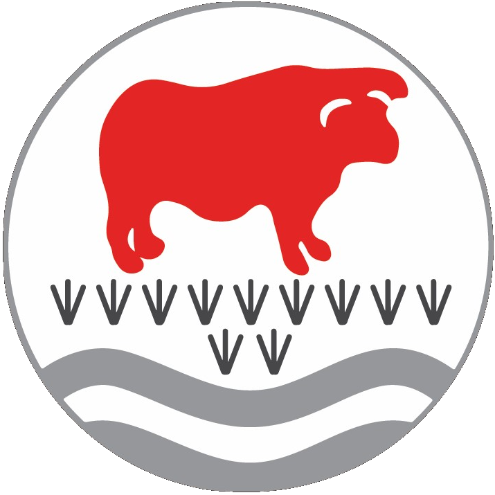 Bulmershe logo